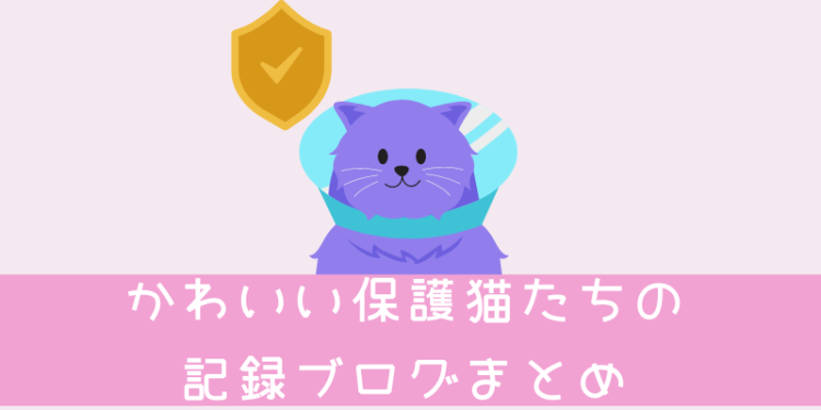 cook 今日なに作ろ？